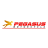 Pegasus