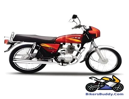 Bajaj Kawasaki 4S Champion 100 motorcycle
