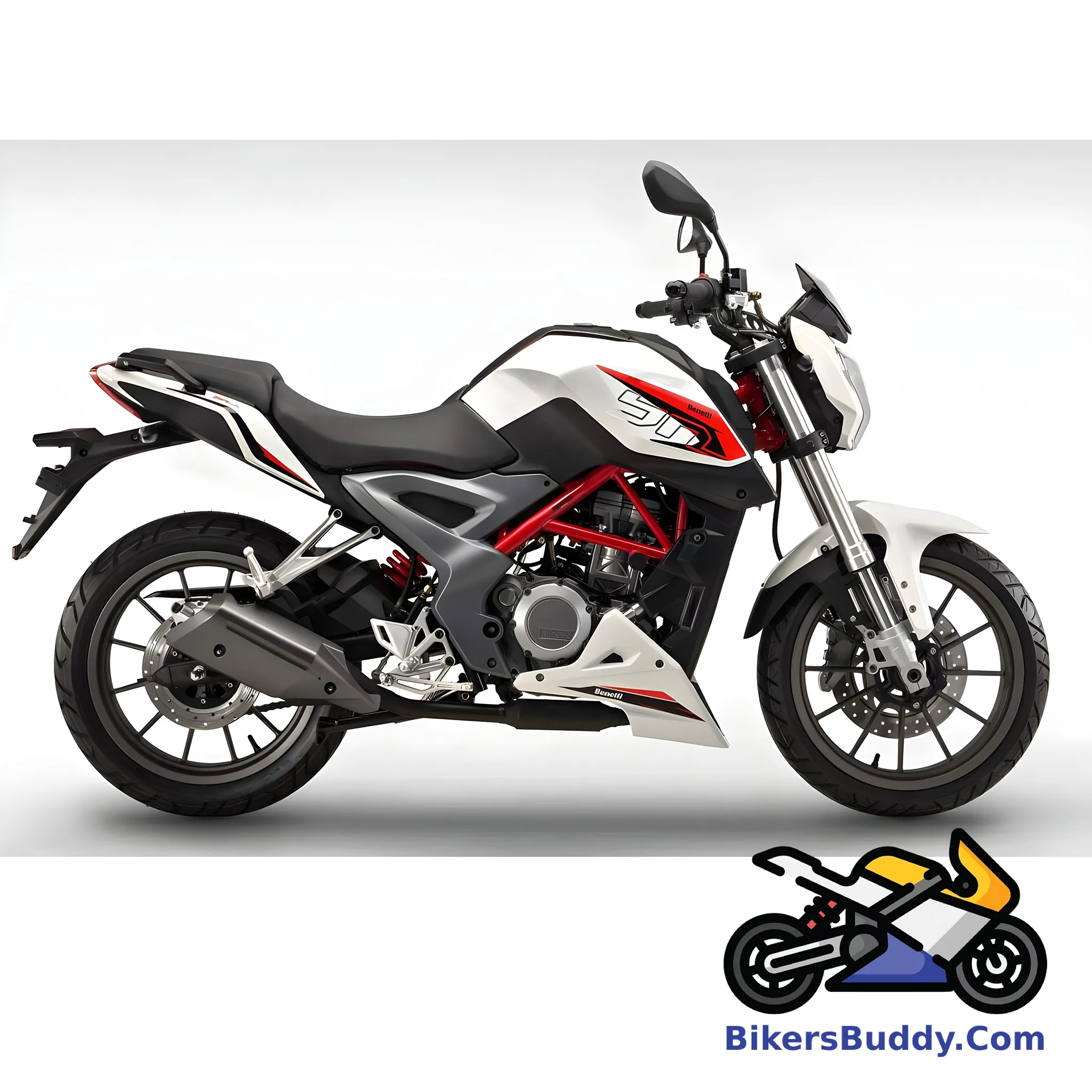 Benelli BN 251