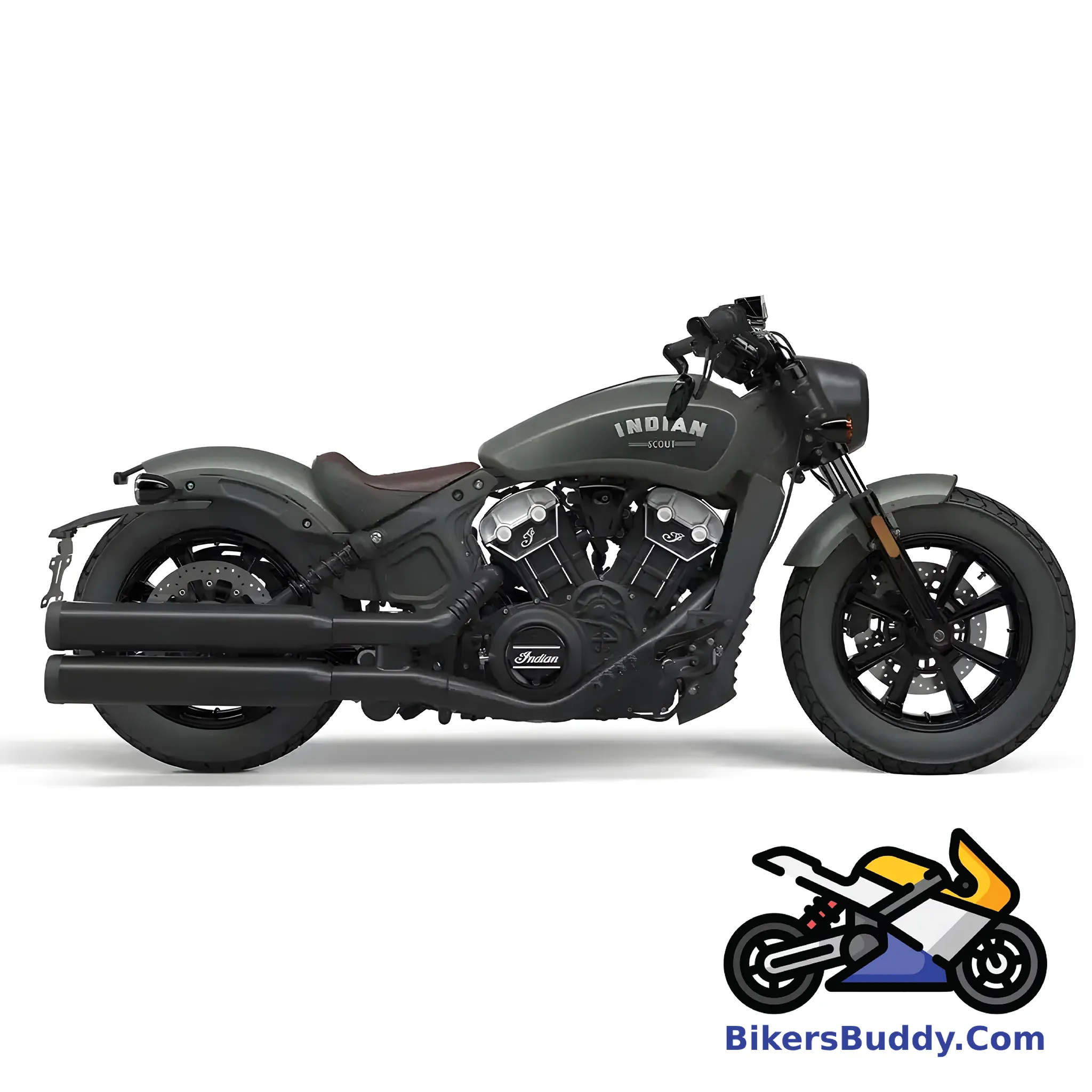 Indian Scout Rogue