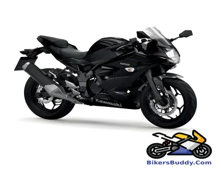 Kawasaki Ninja 125