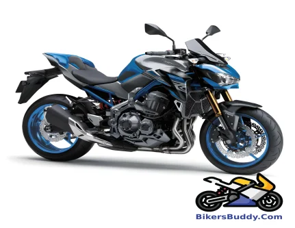 Kawasaki Z900 ABS (2025)