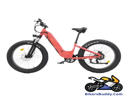 Luyuan EB 2C motorcycle