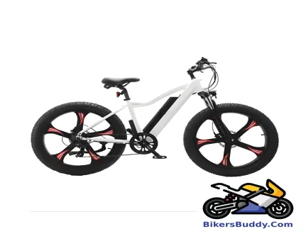 Luyuan EM 01W motorcycle