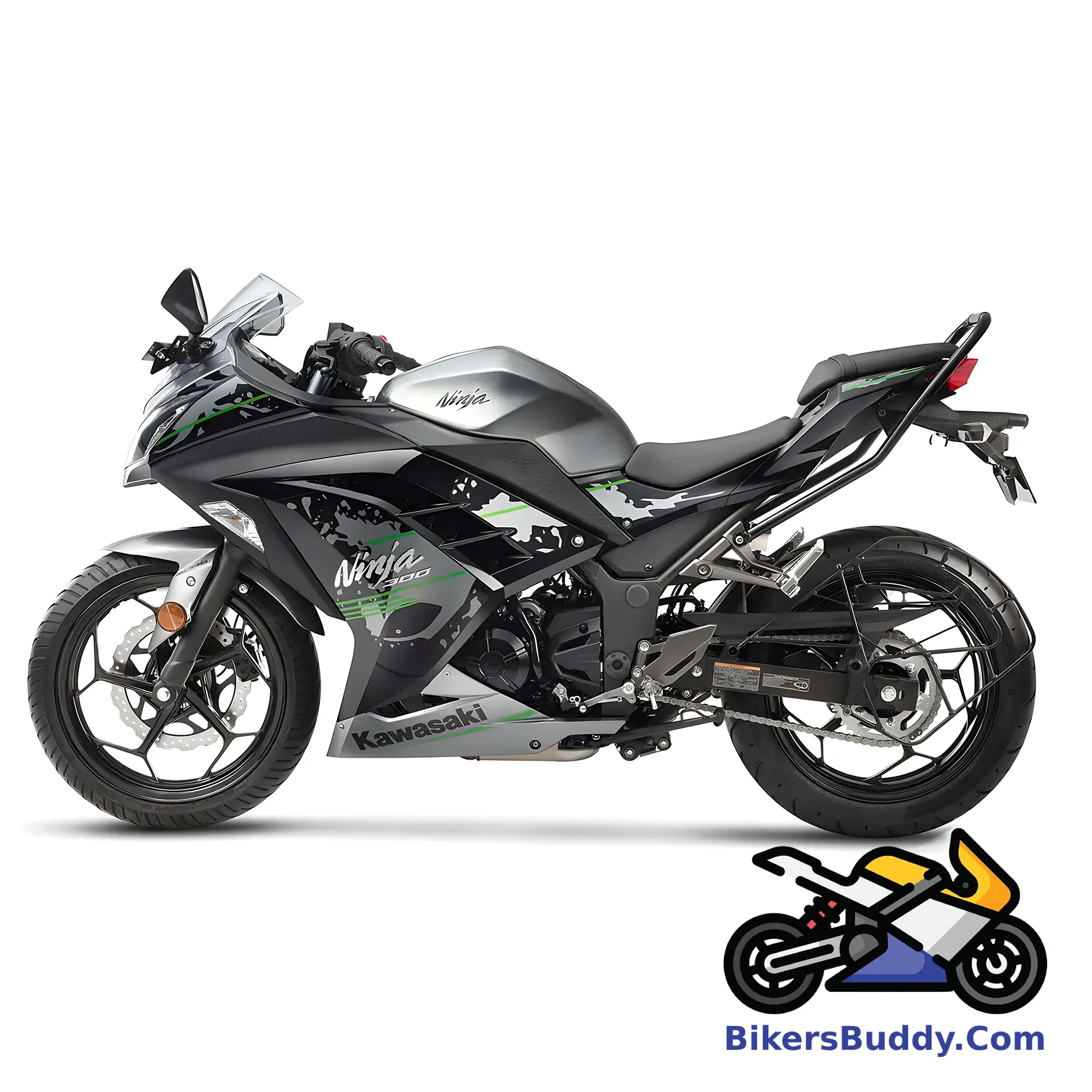 Silver Kawasaki Ninja 300