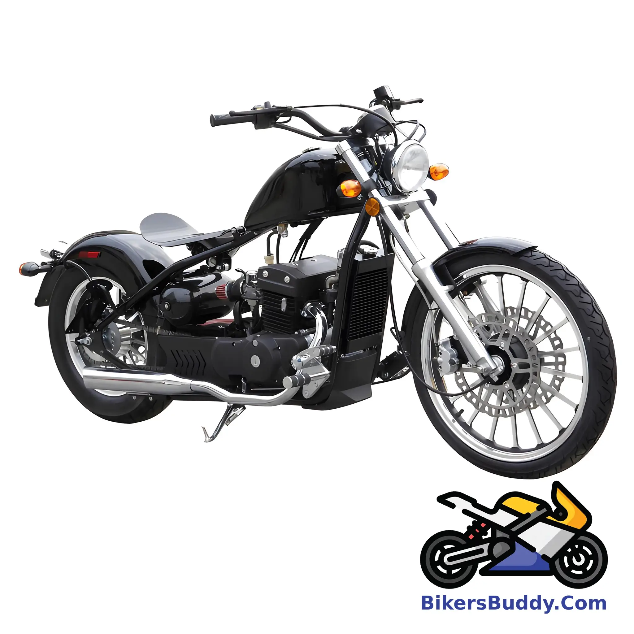 Glossy Black Regal Raptor Bobber